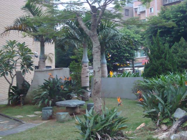 DSC01331.jpg