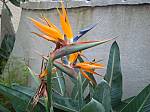 DSC01318.jpg