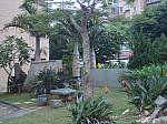 DSC01331.jpg